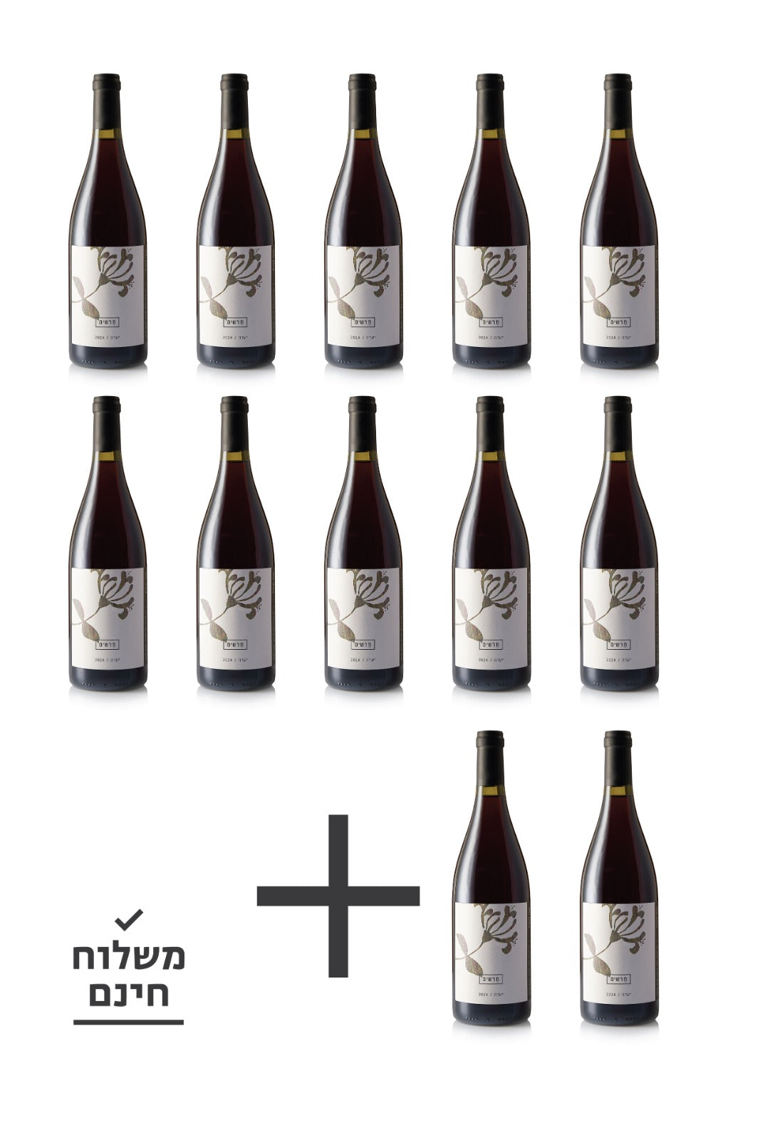 יערה 10+2
